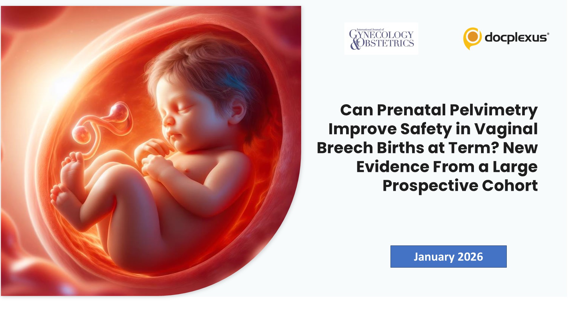 Can Prenatal Pelvimetry Improve Safety in Vaginal Breech Births at Term? New Evidence From a Large Prospective Cohort