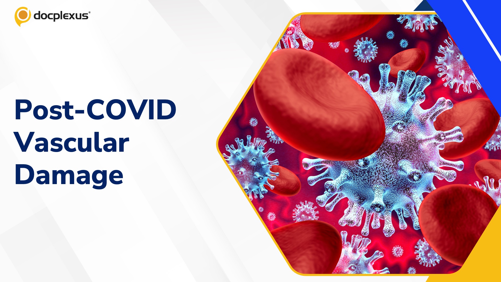 The Next Frontier in Post-COVID Care: Are We Overlooking Microvascular Damage?
