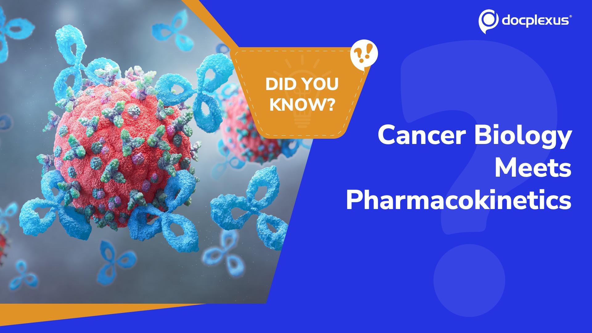 Revisiting Cancer Immunotherapy Pharmacokinetics