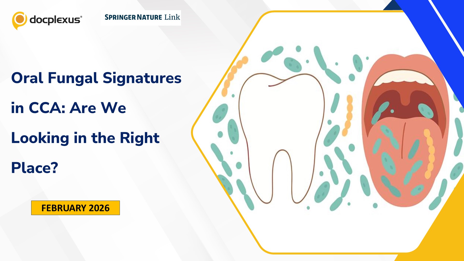 Oral Fungal Signatures in CCA: Are We Looking in the Right Place?