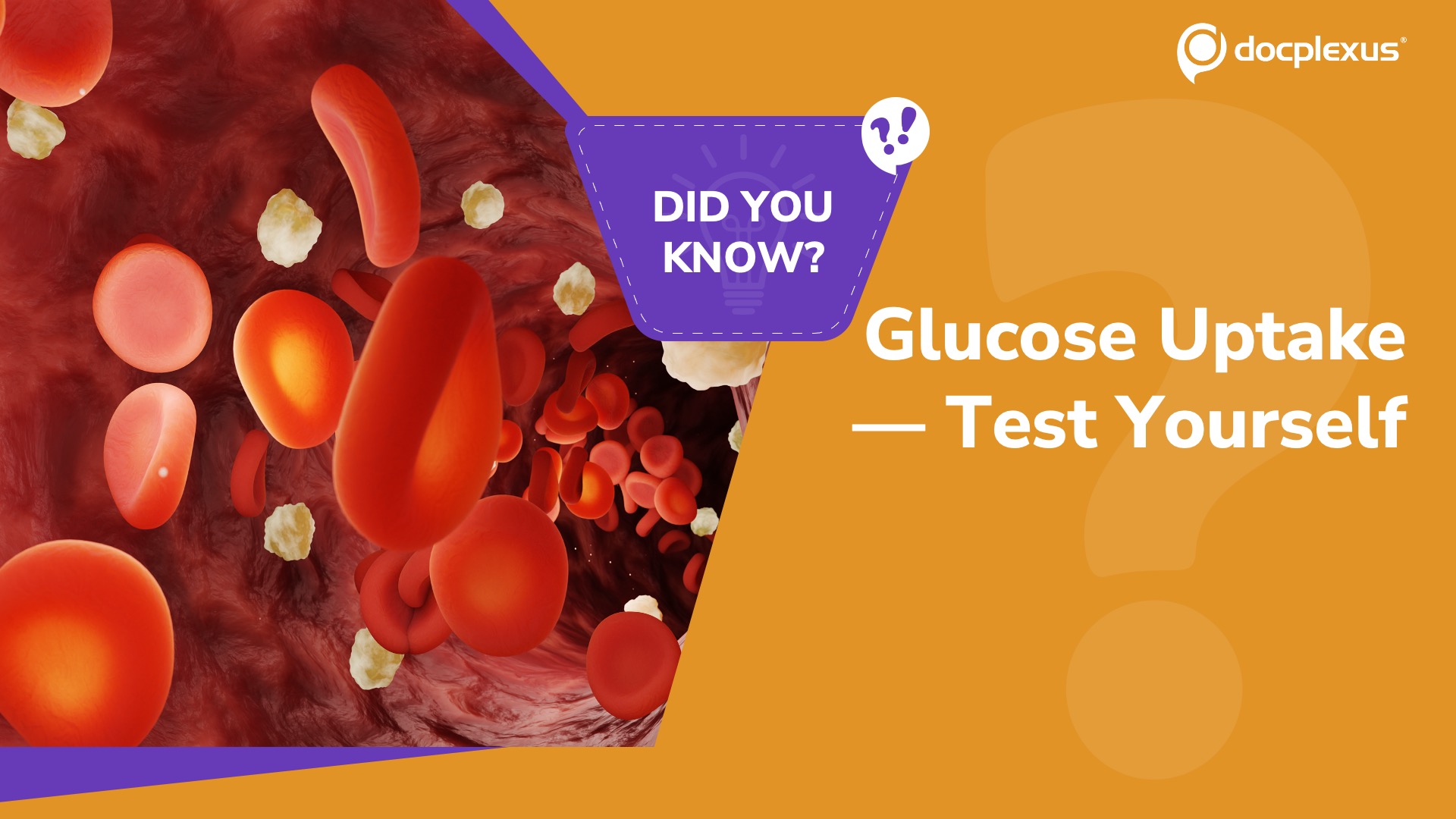 Post-Meal Physiology: Who Handles the Glucose Load?