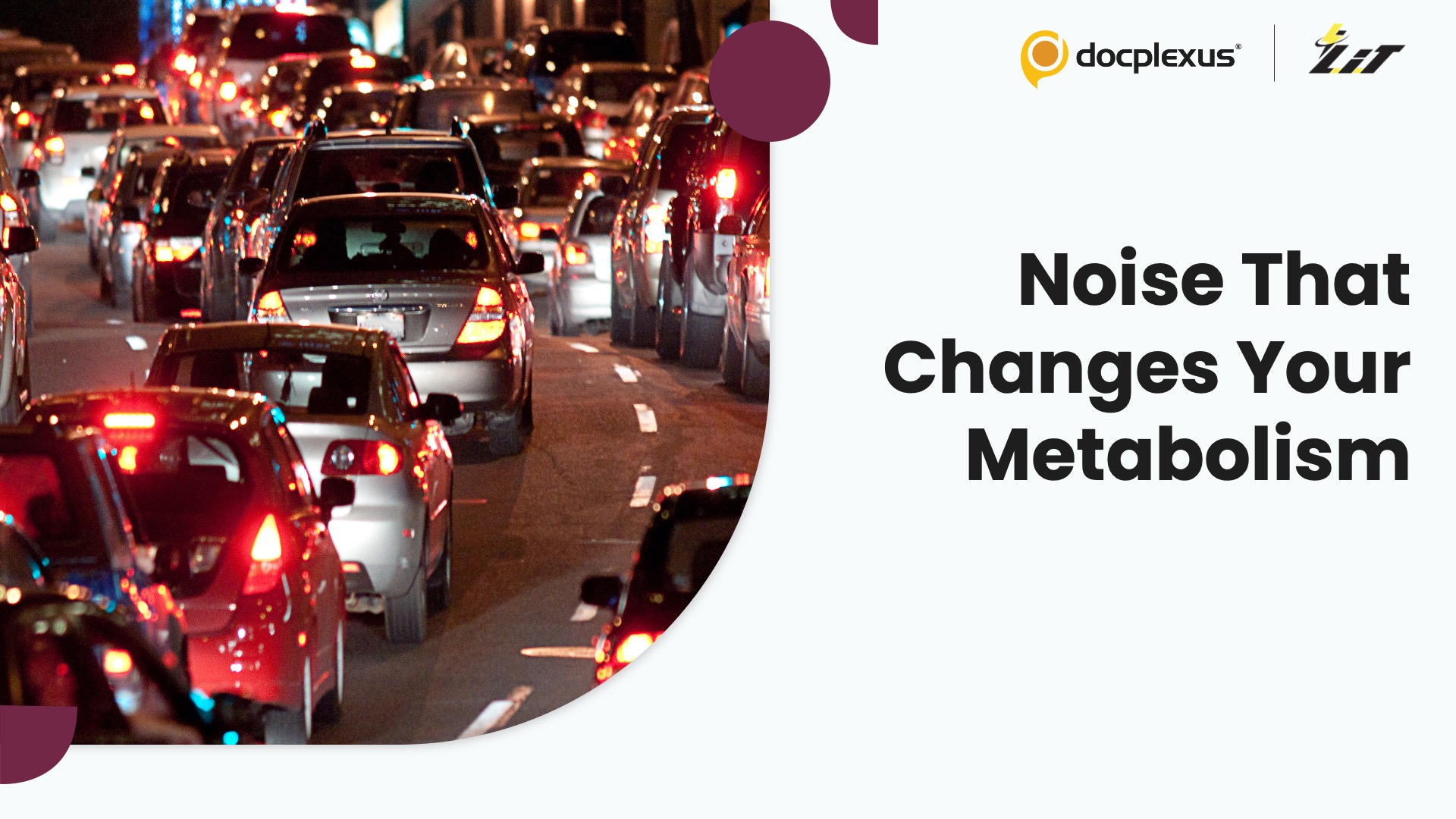 When Nighttime Traffic Noise Alters Your Metabolic Health