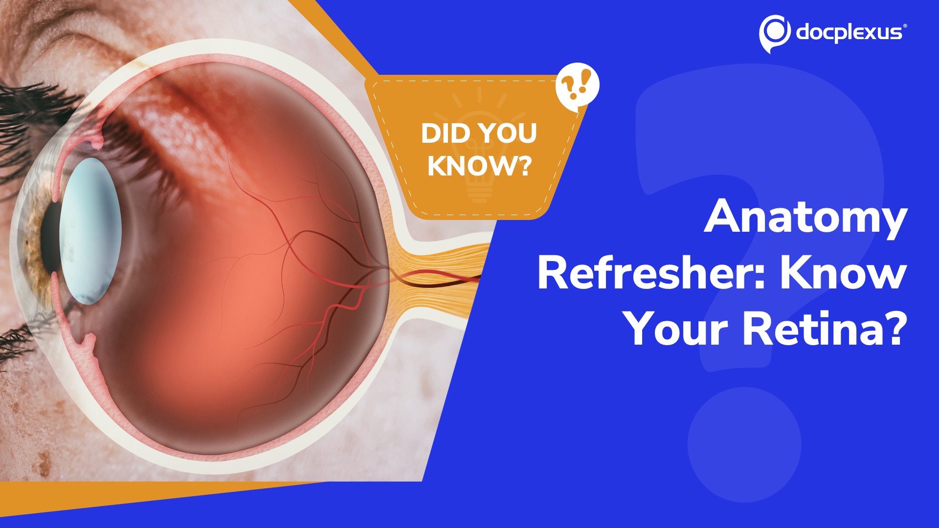 Back to Basics: How Well Do You Know Retinal Layers?