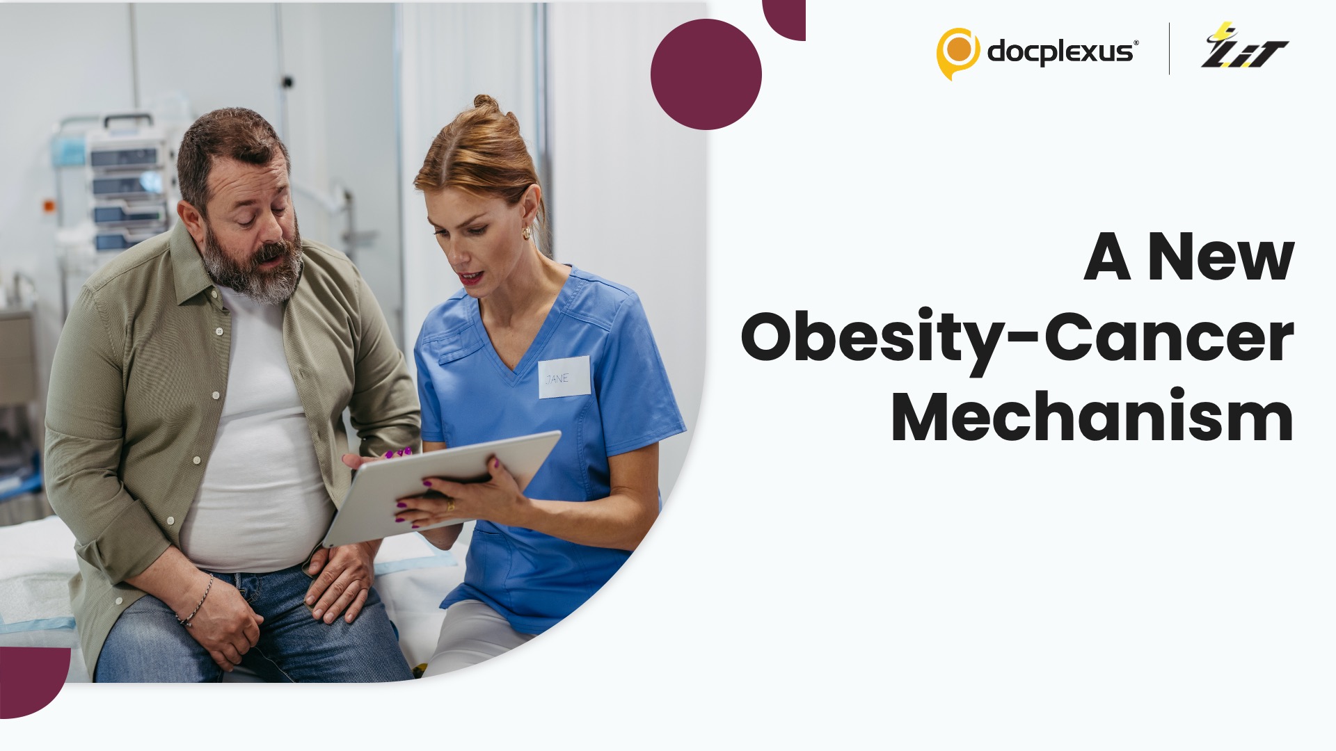 Obesity and Cancer: Could Organ Enlargement Be the Missing Link?