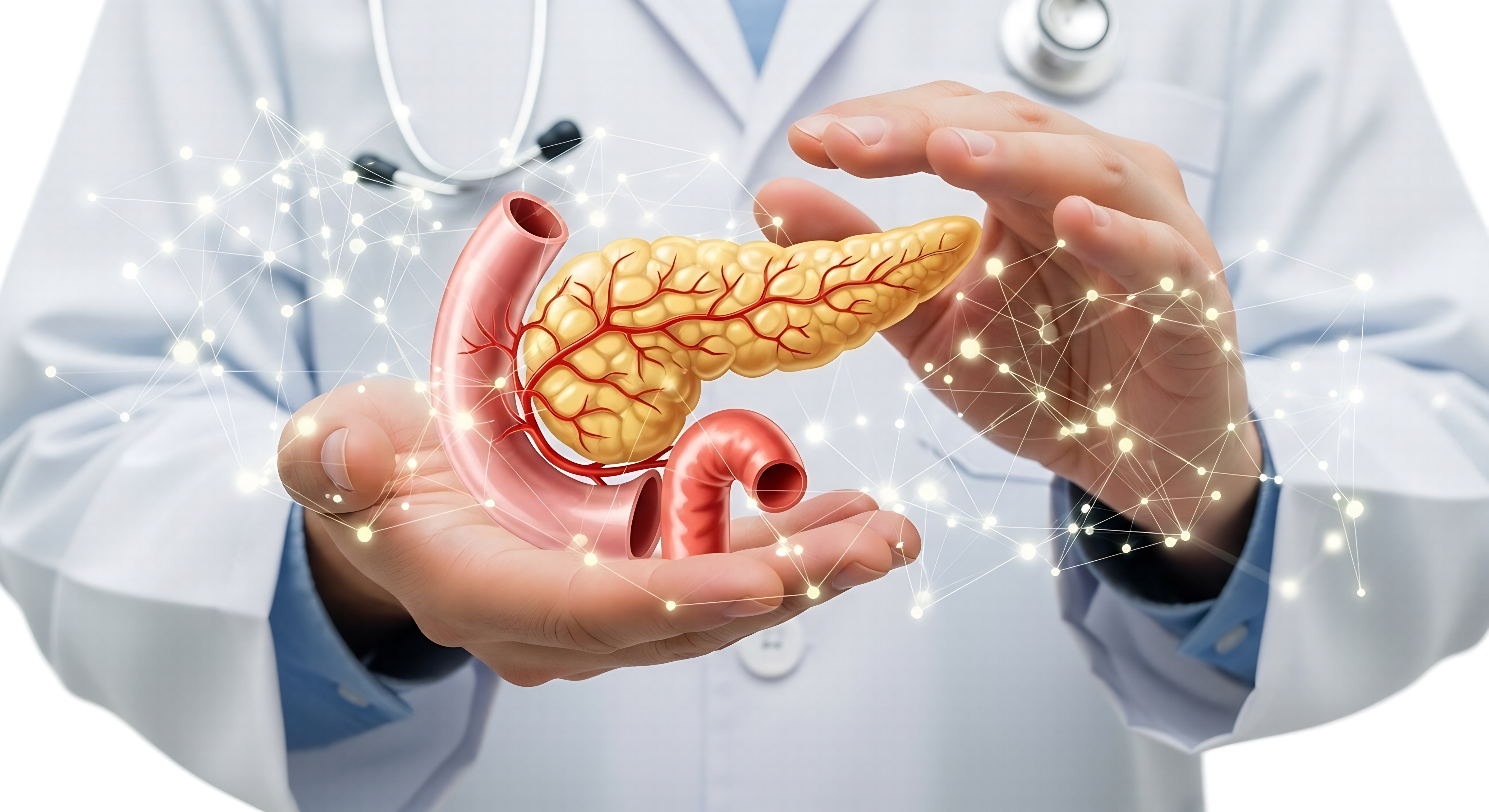 Duplicate Gallbladder Diagnosed on Ultrasound Alone: A Rare Case Managed Without Surgery