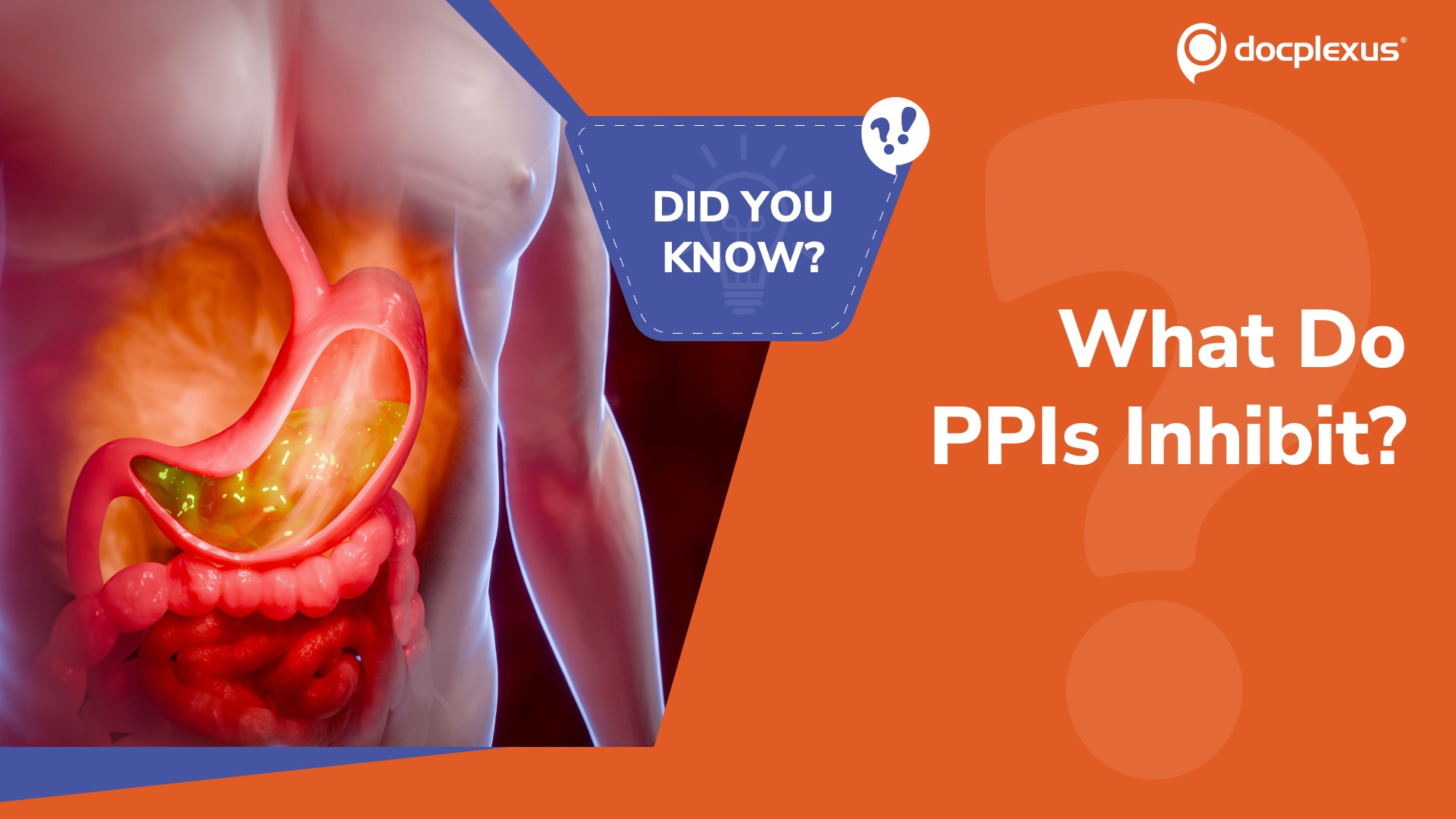Can You Recall the Molecular Target of Proton Pump Inhibitors?