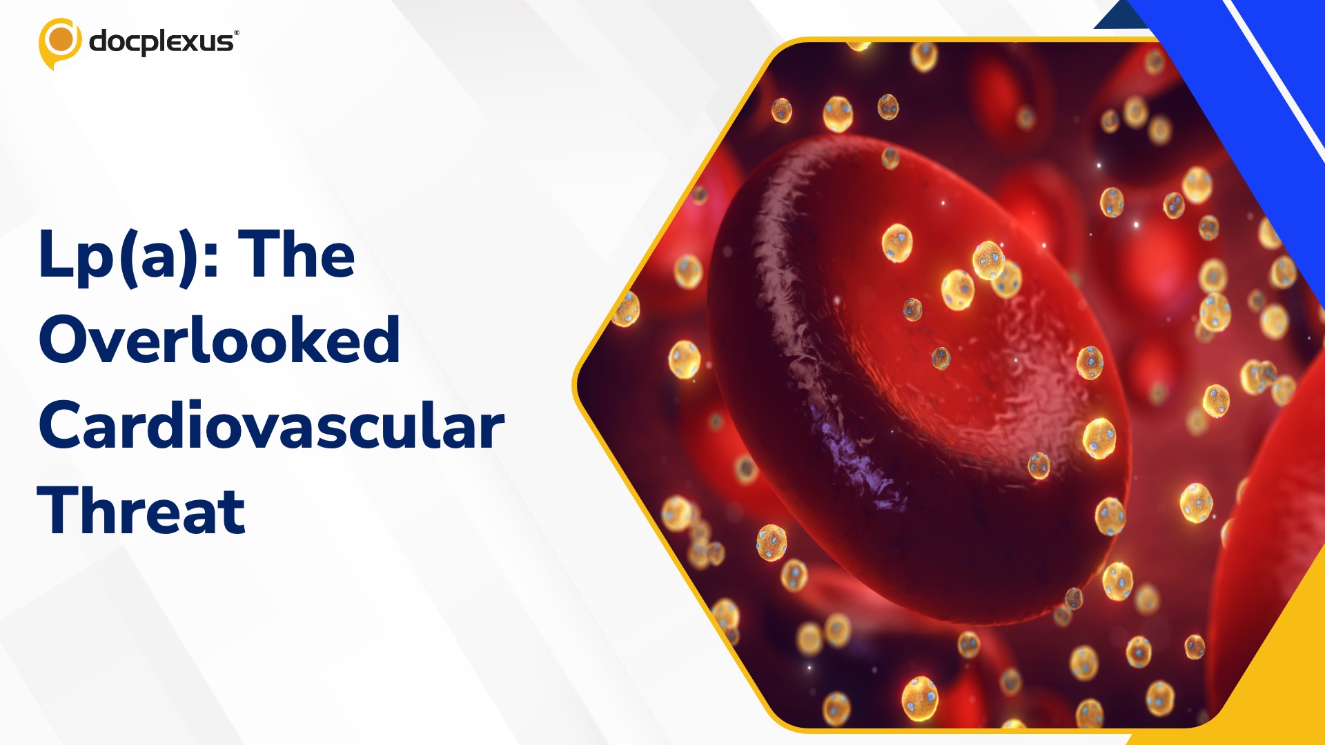 Lipoprotein(a): The Forgotten Cardiovascular Risk Factor