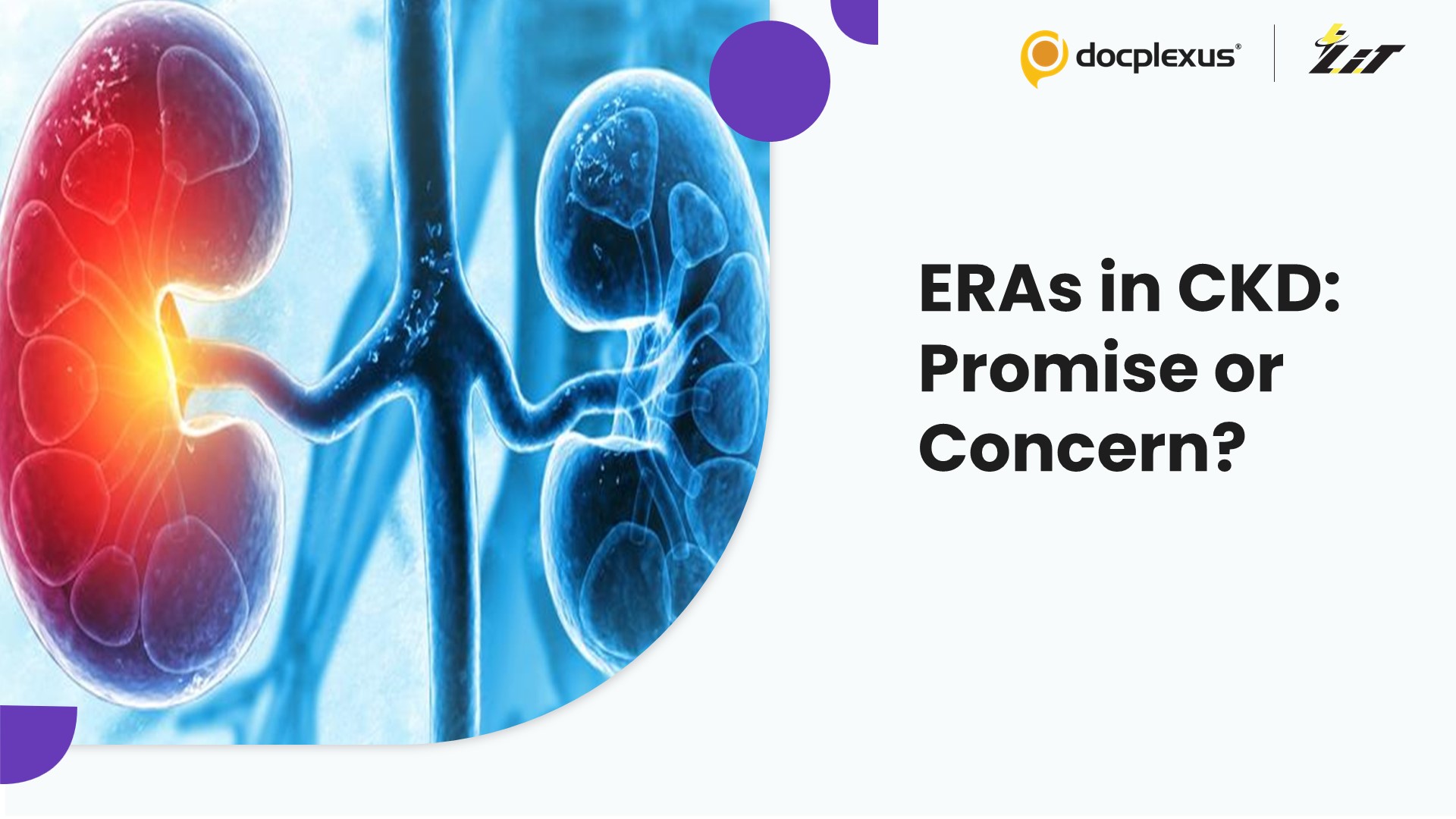 Endothelin Receptor Antagonists in CKD: Benefit or Risk?