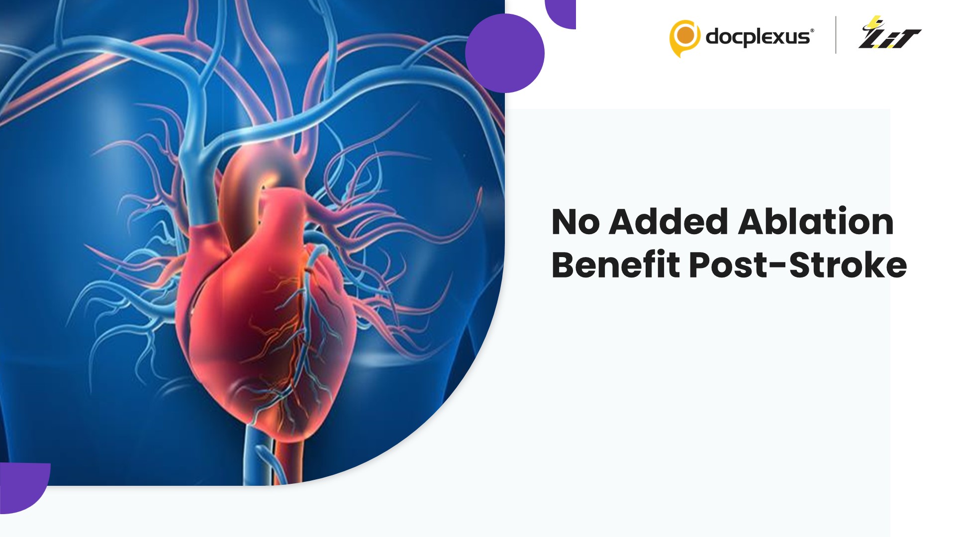 No Added Benefit of Ablation After Stroke in Atrial Fibrillation