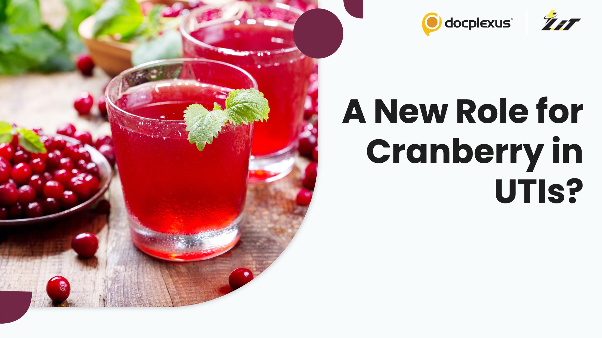 Can Cranberry Juice Boost Fosfomycin Activity Against UTI-Causing E. coli?