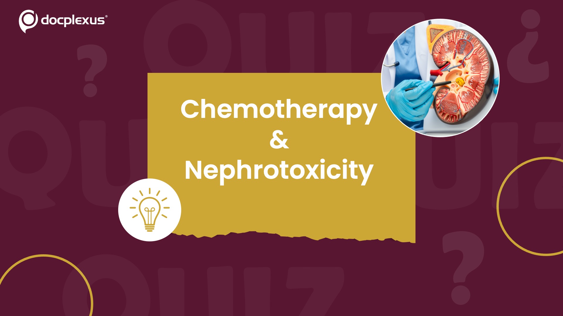 Which Chemotherapy Drug is Most Likely to Damage the Kidneys?
