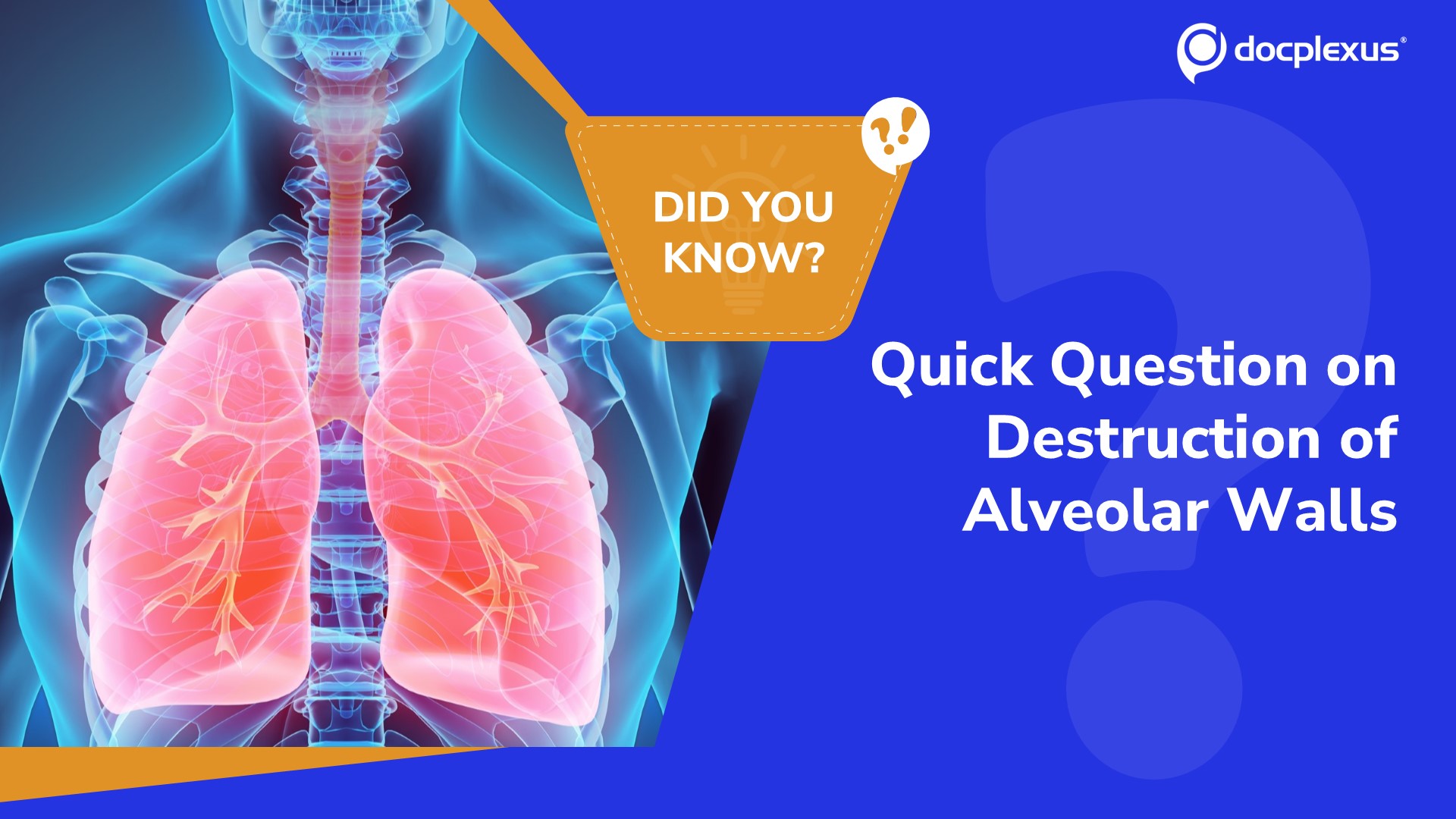 How Well Do You Know Alveolar Wall Destruction? Quick Pulmonology Quiz