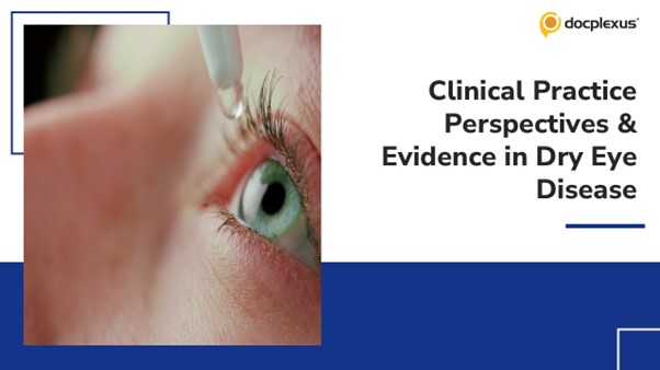 Clinical Practice Perspectives in Dry Eye Disease Management