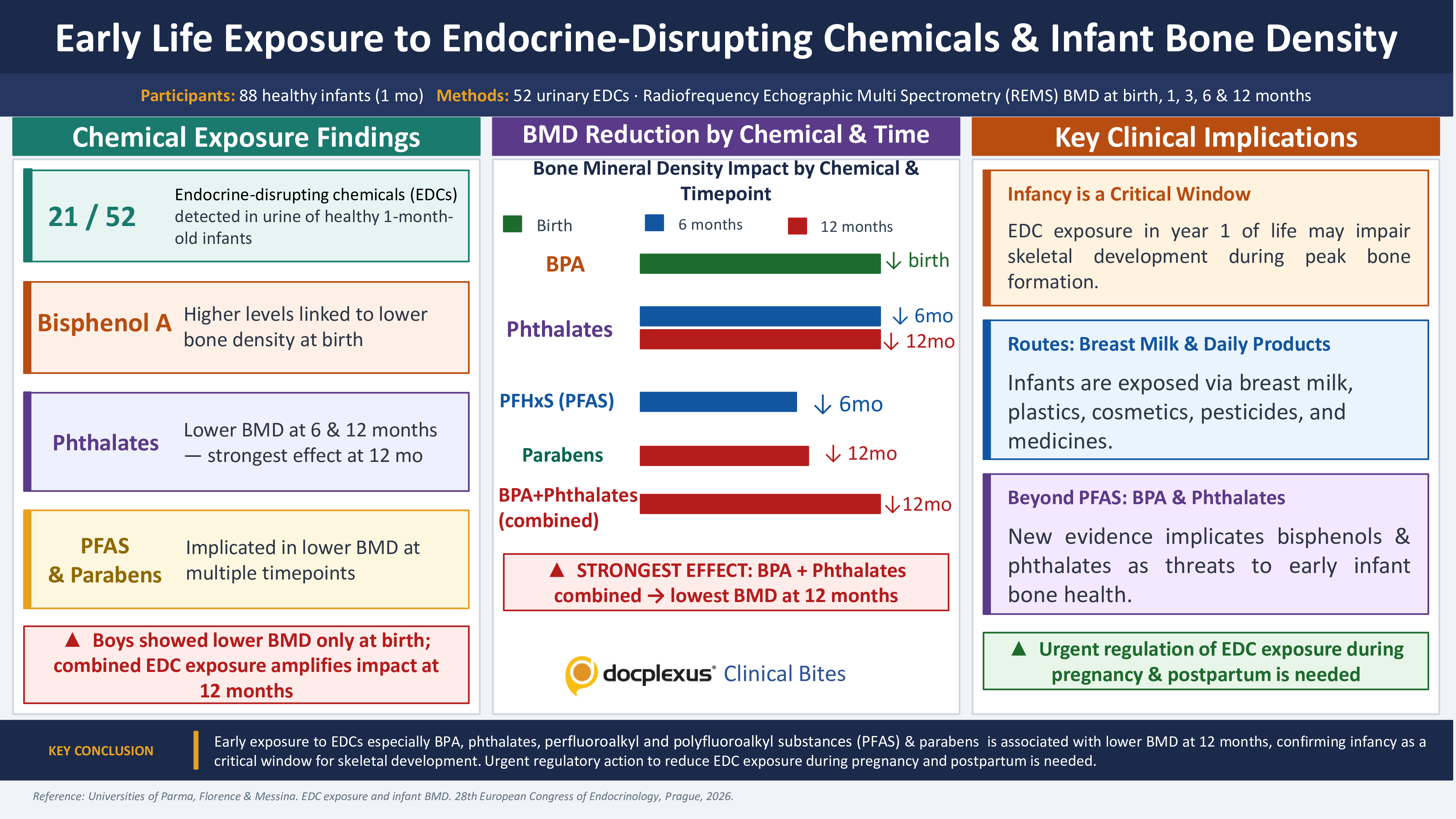 Early EDC Exposure and Infant Bone Density: What Every Doctor Should Know
