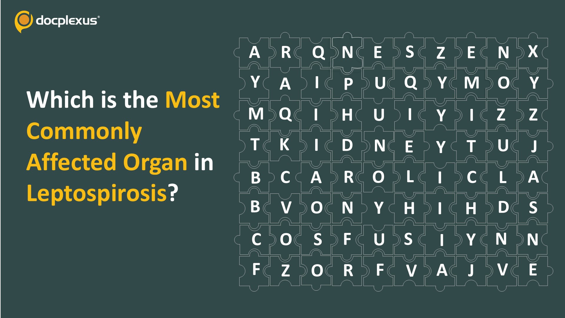 Identify the Most Commonly Affected Organ in Leptospirosis