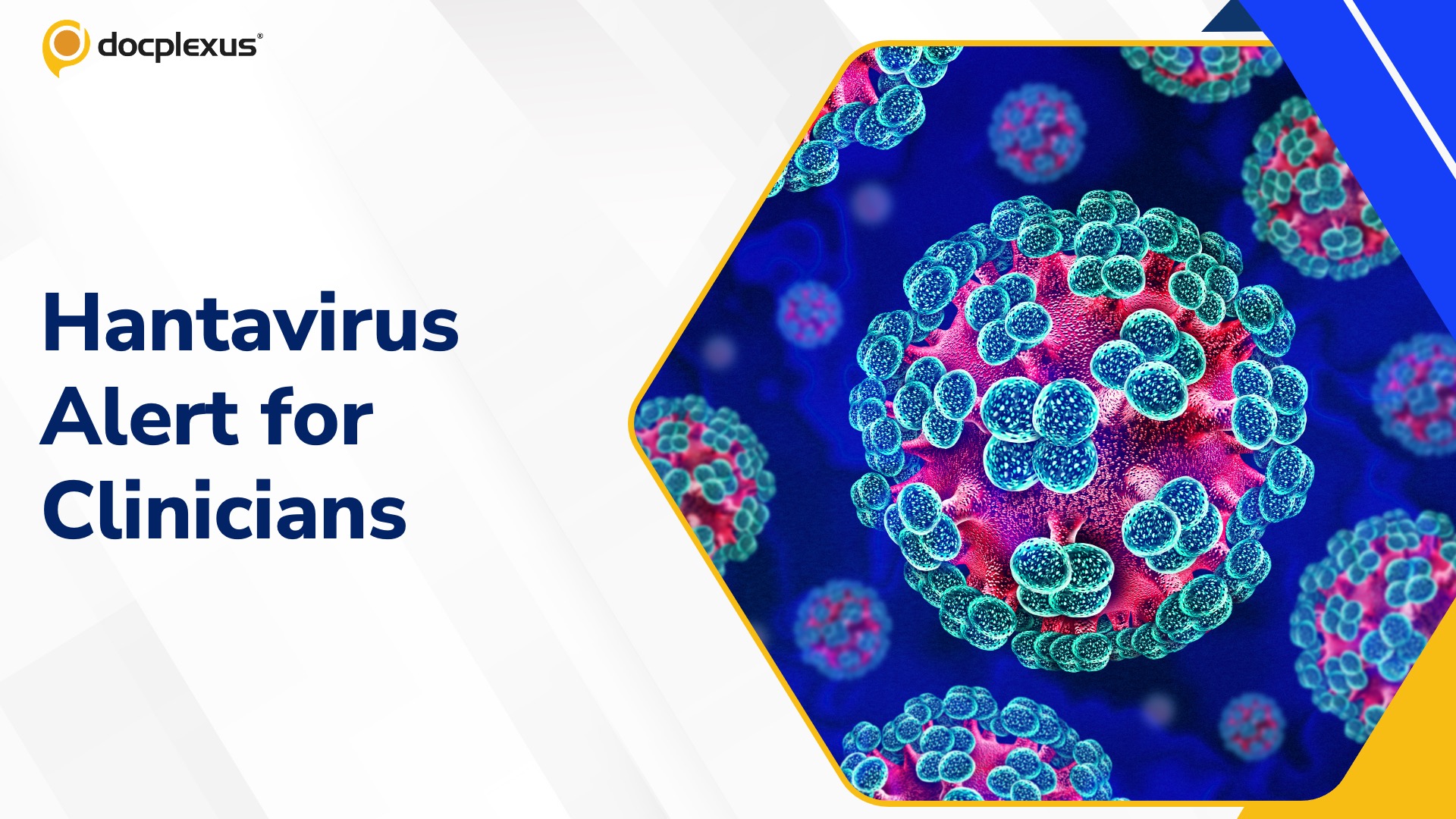Hantavirus: Key Clinical Insights for Doctors