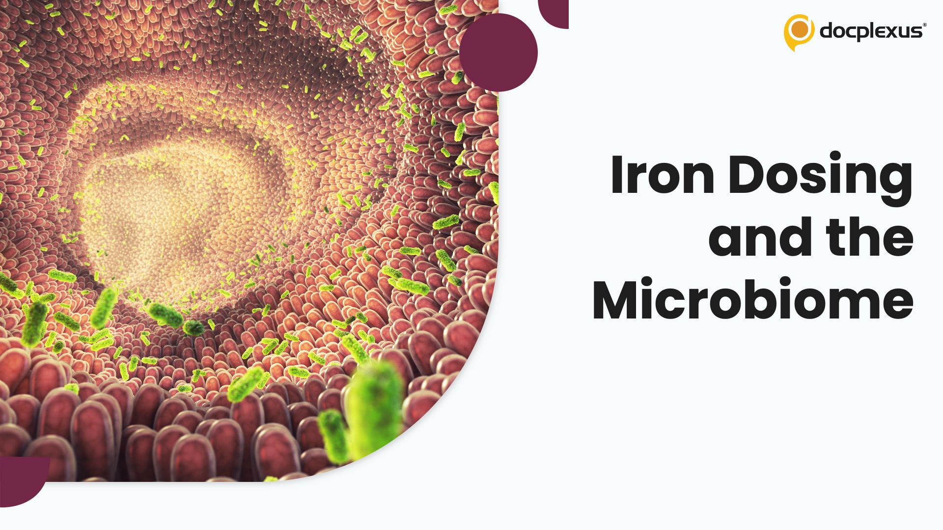 Low-Dose Iron Supplementation Preserves Gut Microbiome and Improves Tolerability