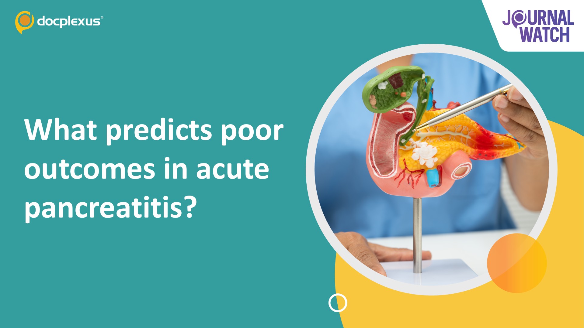 Acute Organ Dysfunction, Not Age Alone, Drives Poor Outcomes in Acute Pancreatitis