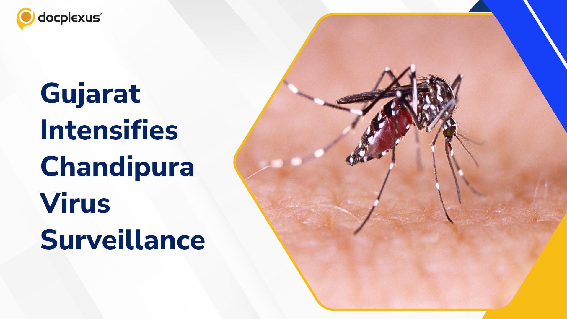 Chandipura Virus: 3 Children Dead, 6 Test Positive in Gujarat