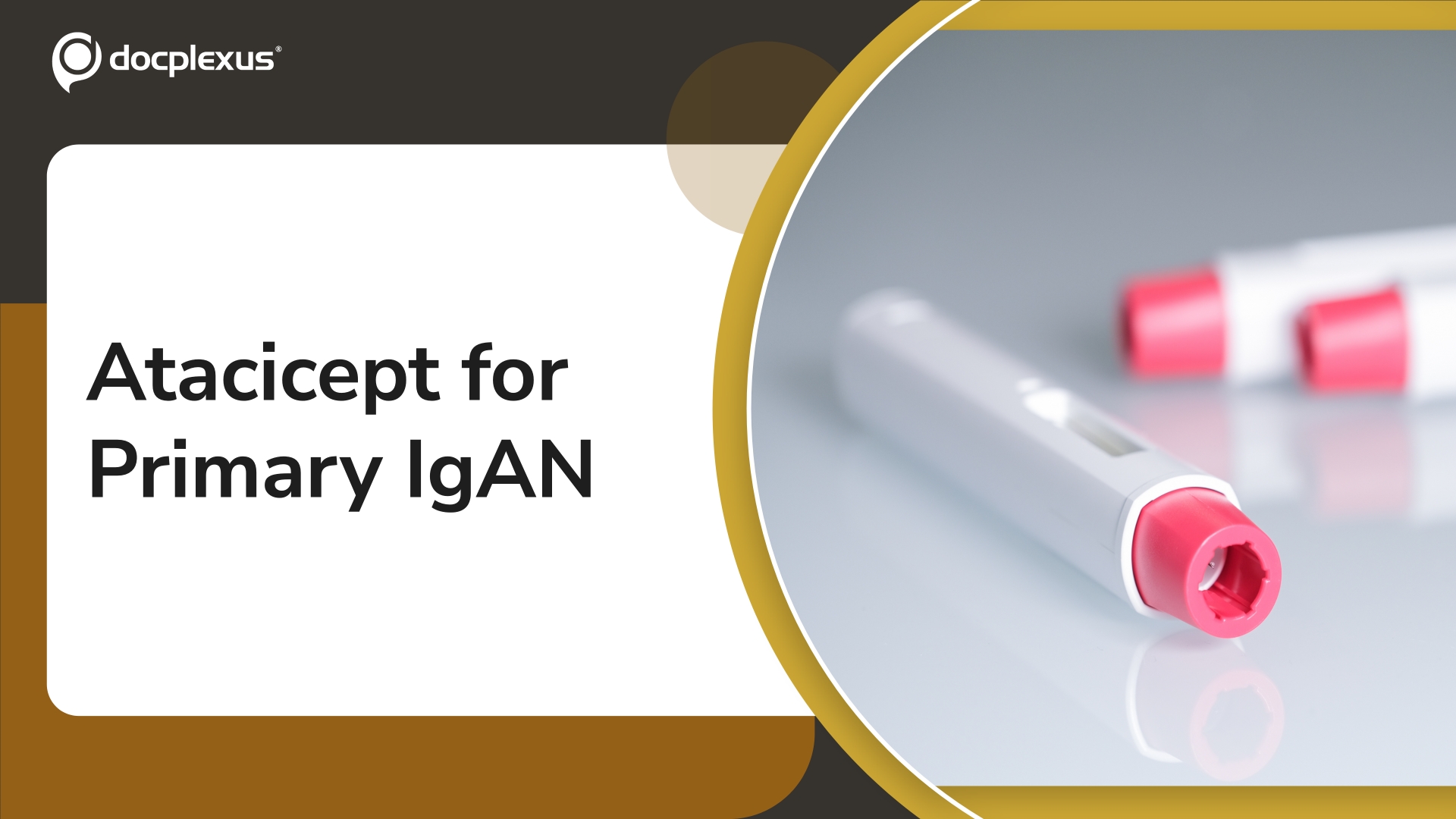 US FDA Approves Atacicept for Primary Immunoglobulin A Nephropathy