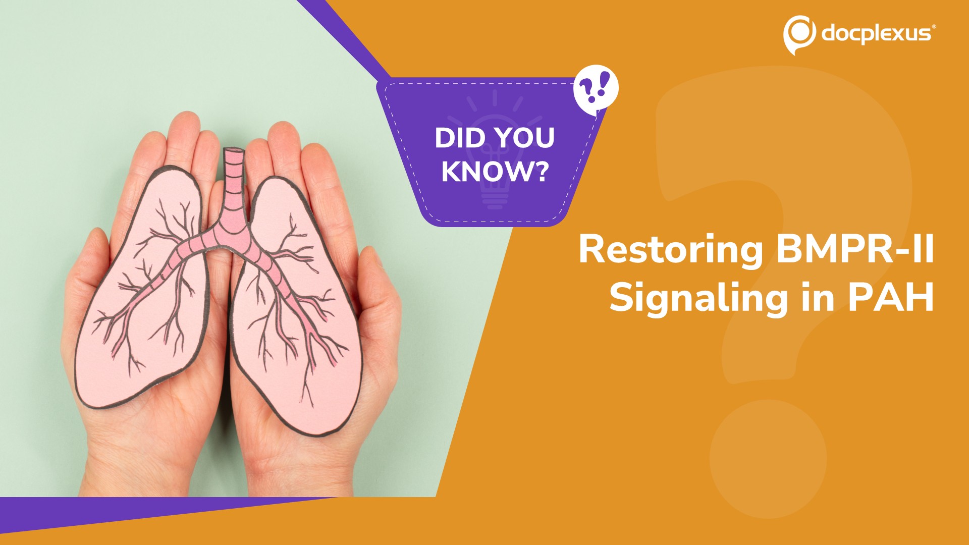 Which Therapy First Targeted BMPR-II Signaling in PAH?
