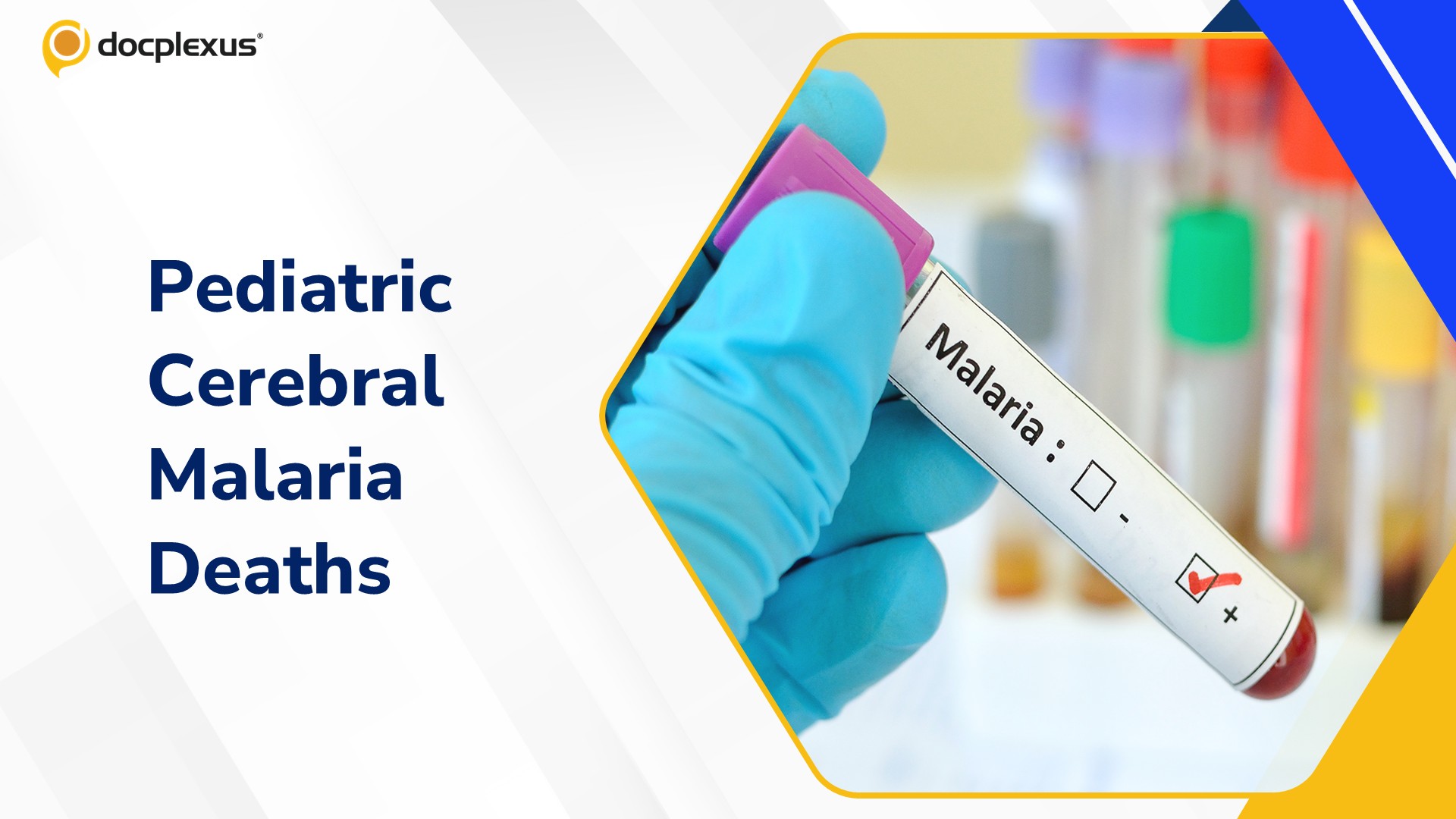 Two Pediatric Cerebral Malaria Deaths Reported as Chhattisgarh Intensifies Malaria Surveillance