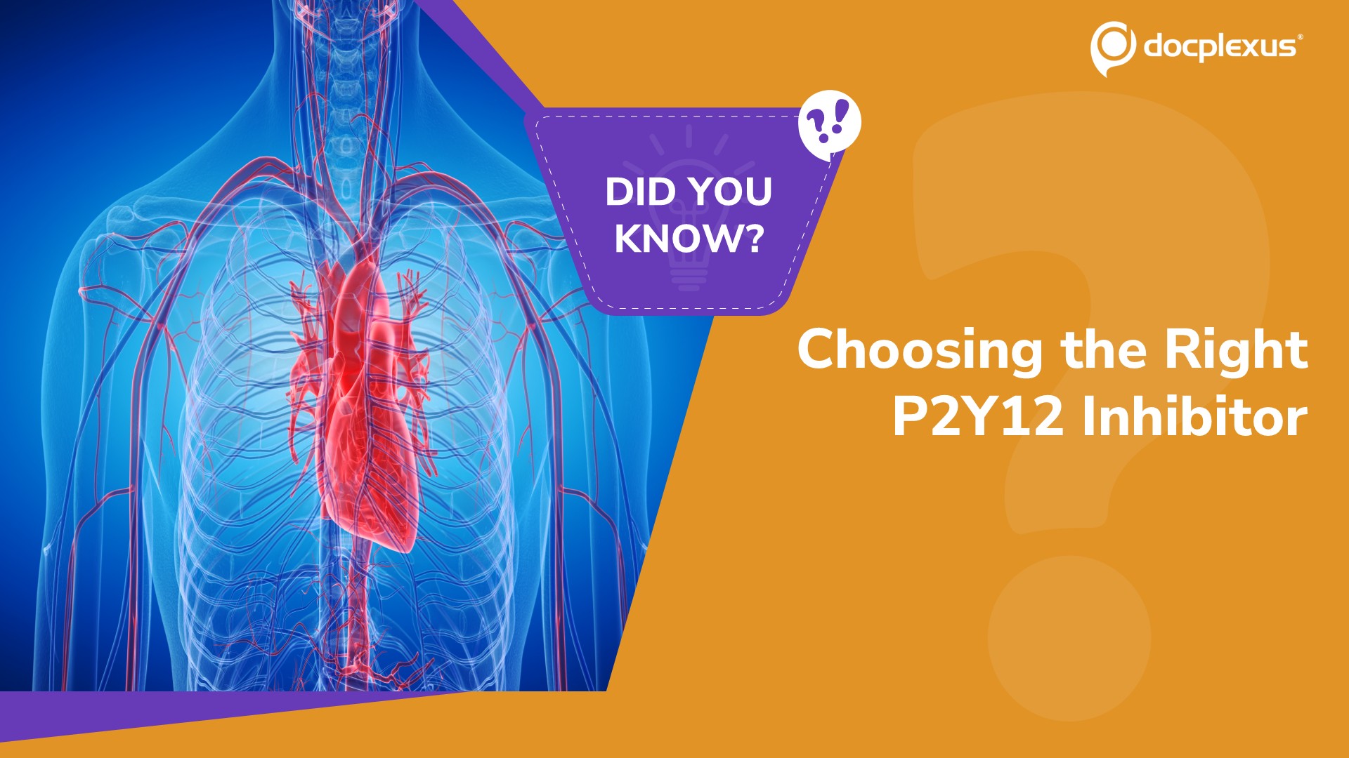 Which P2Y12 Inhibitor Is Preferred After PCI in ACS?
