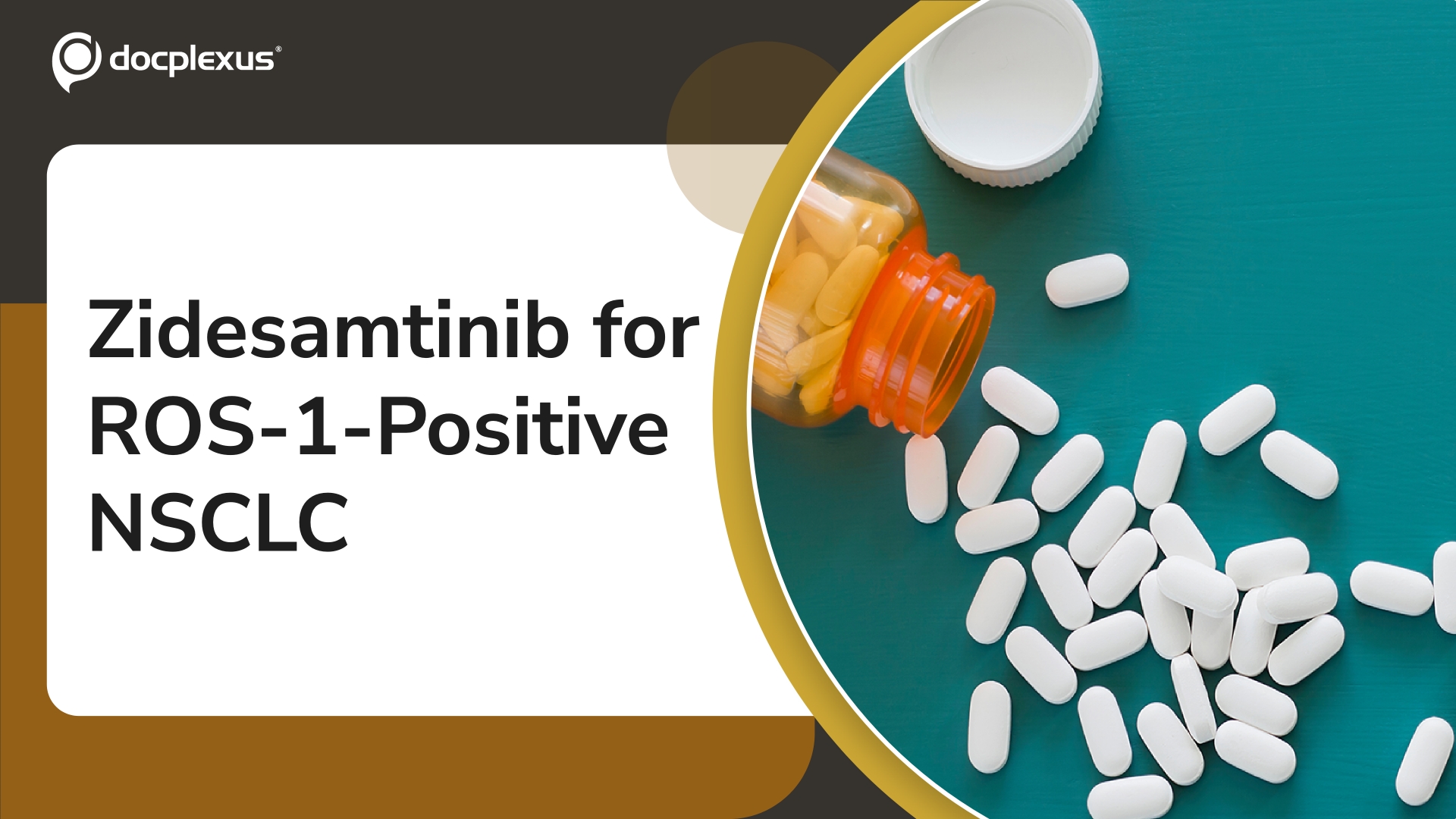 US FDA Approves Zidesamtinib for ROS1-Positive Non-Small Cell Lung Cancer