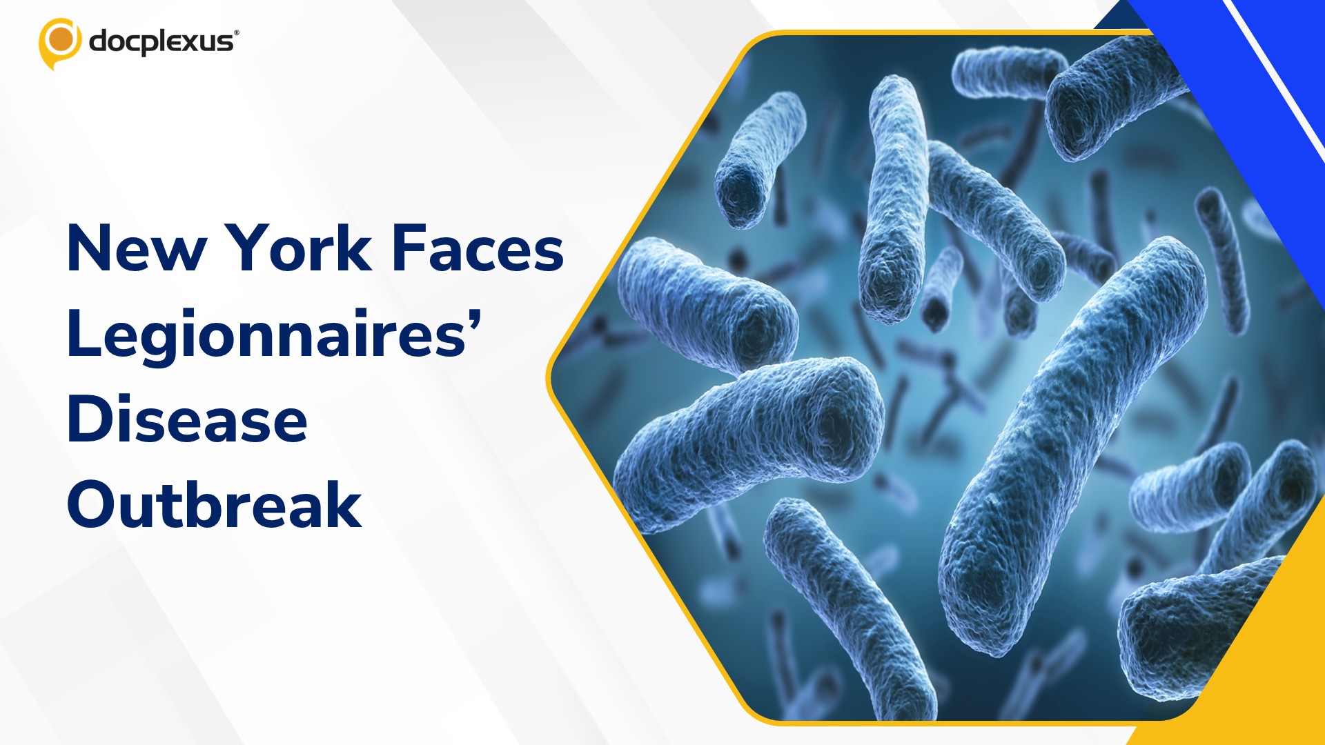 New York Legionnaires’ Disease Outbreak Raises Concerns Over Climate and Aging Water Systems