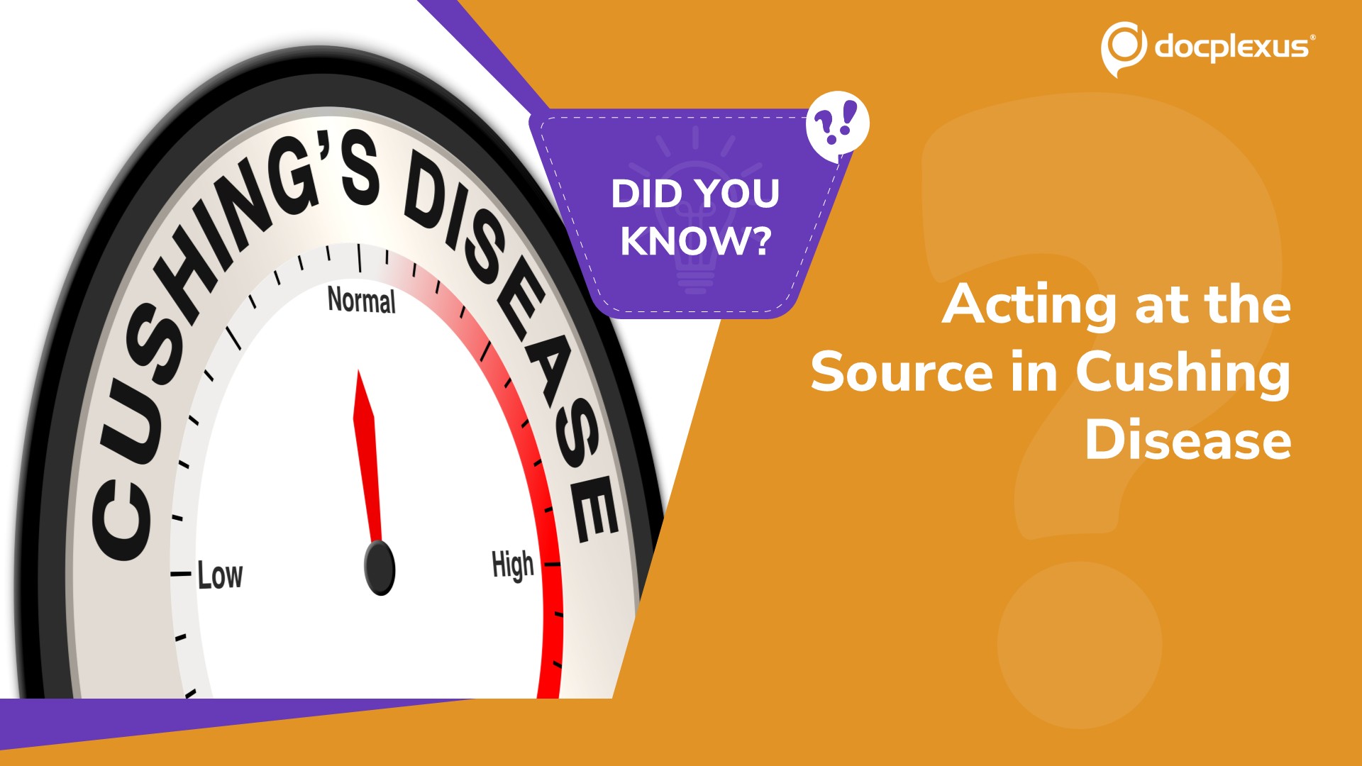 Which Therapy Directly Targets the Pituitary in Cushing Disease?