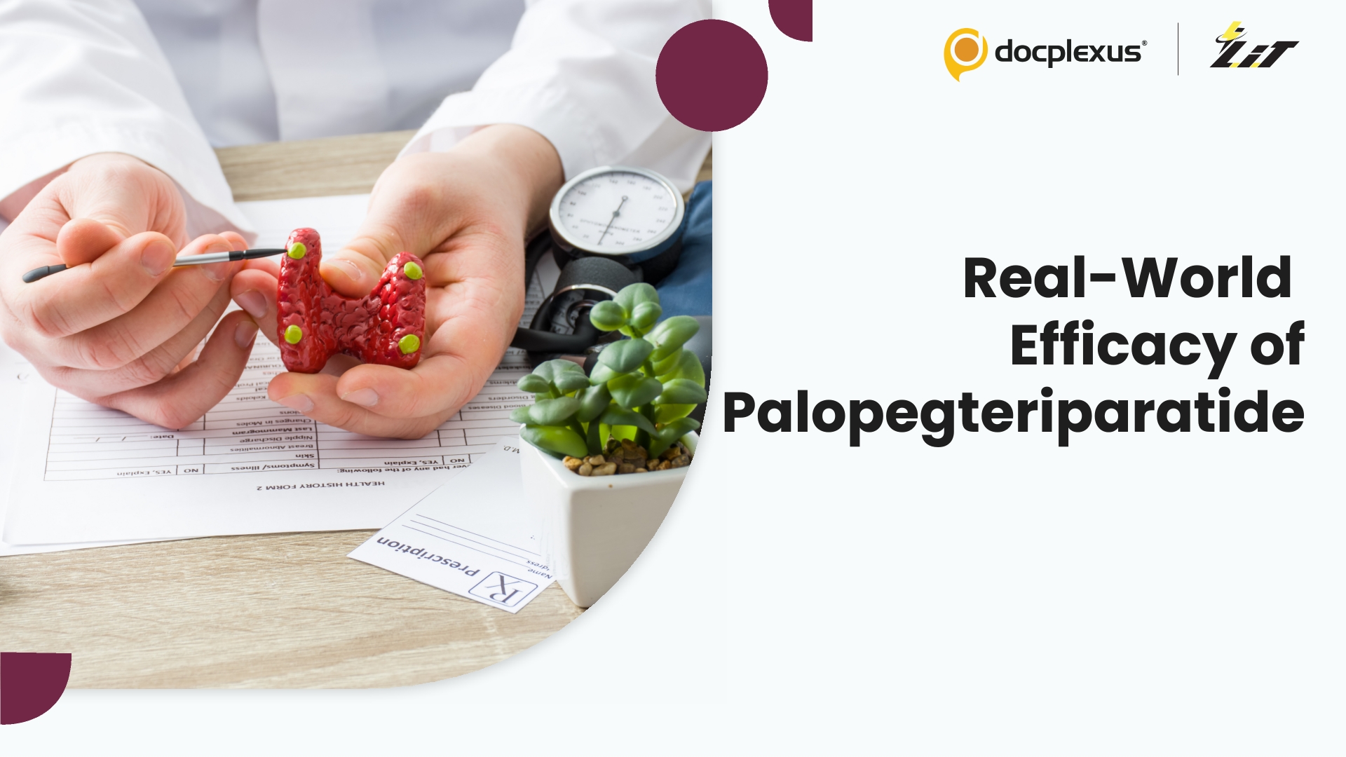 Palopegteriparatide Shows Real-World Benefits in Hypoparathyroidism