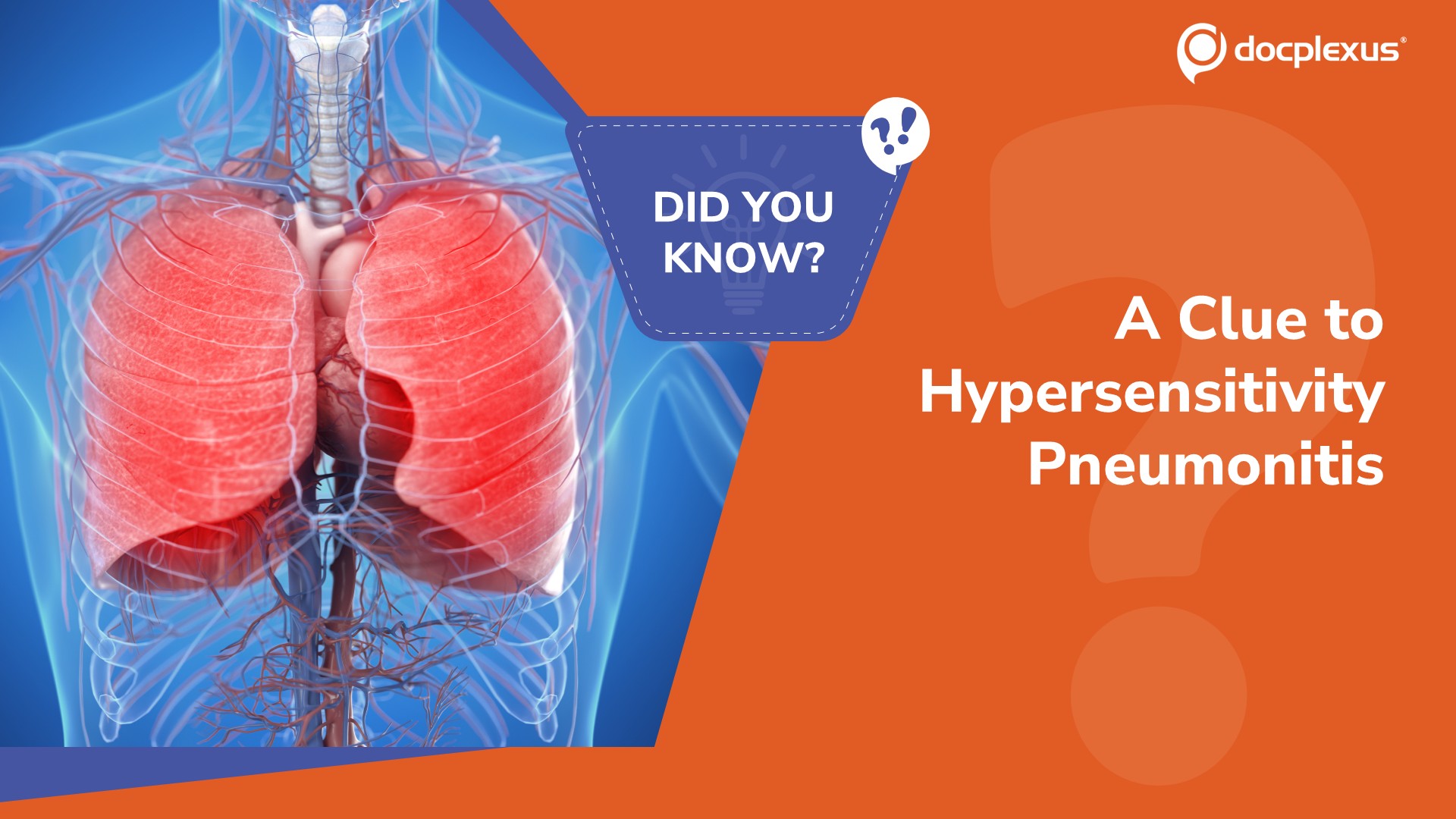 Which Finding Favors Hypersensitivity Pneumonitis?