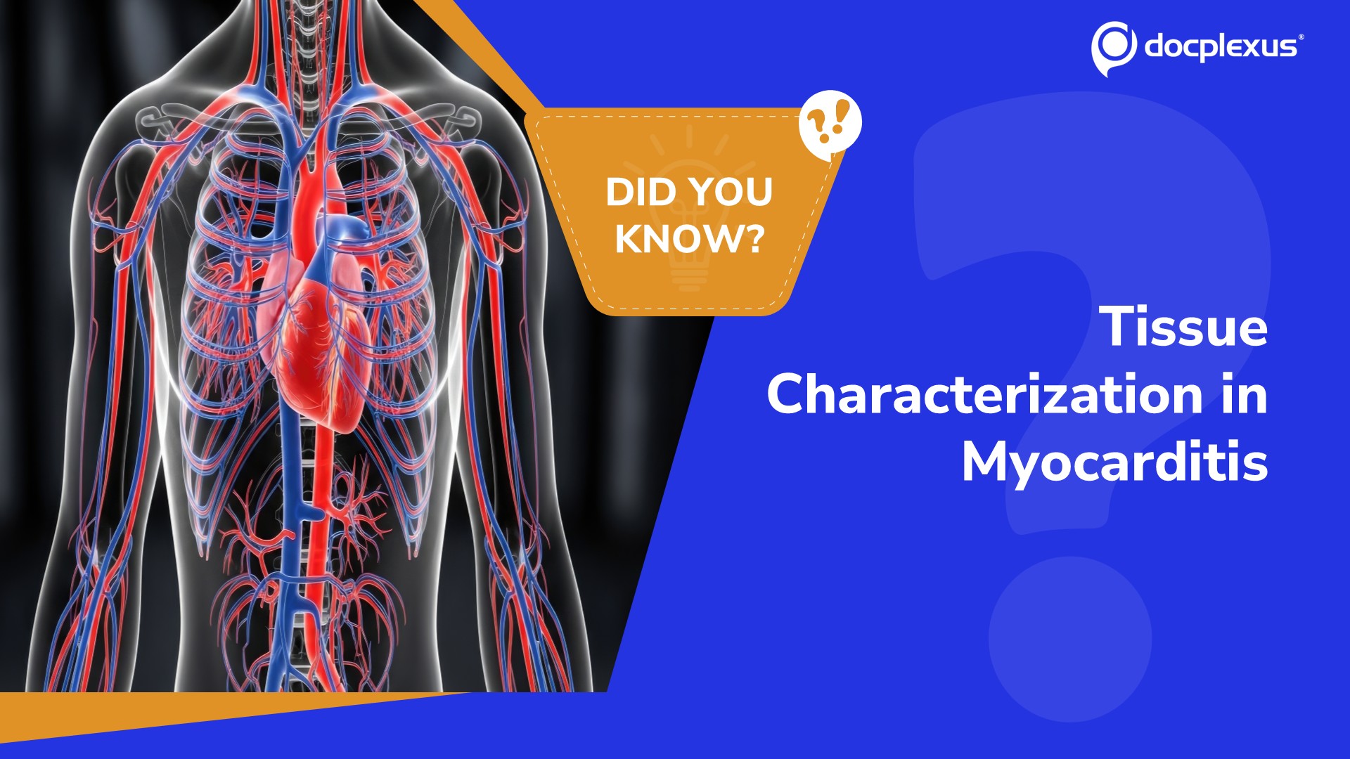 Which CMR Finding Supports Myocardial Inflammation?