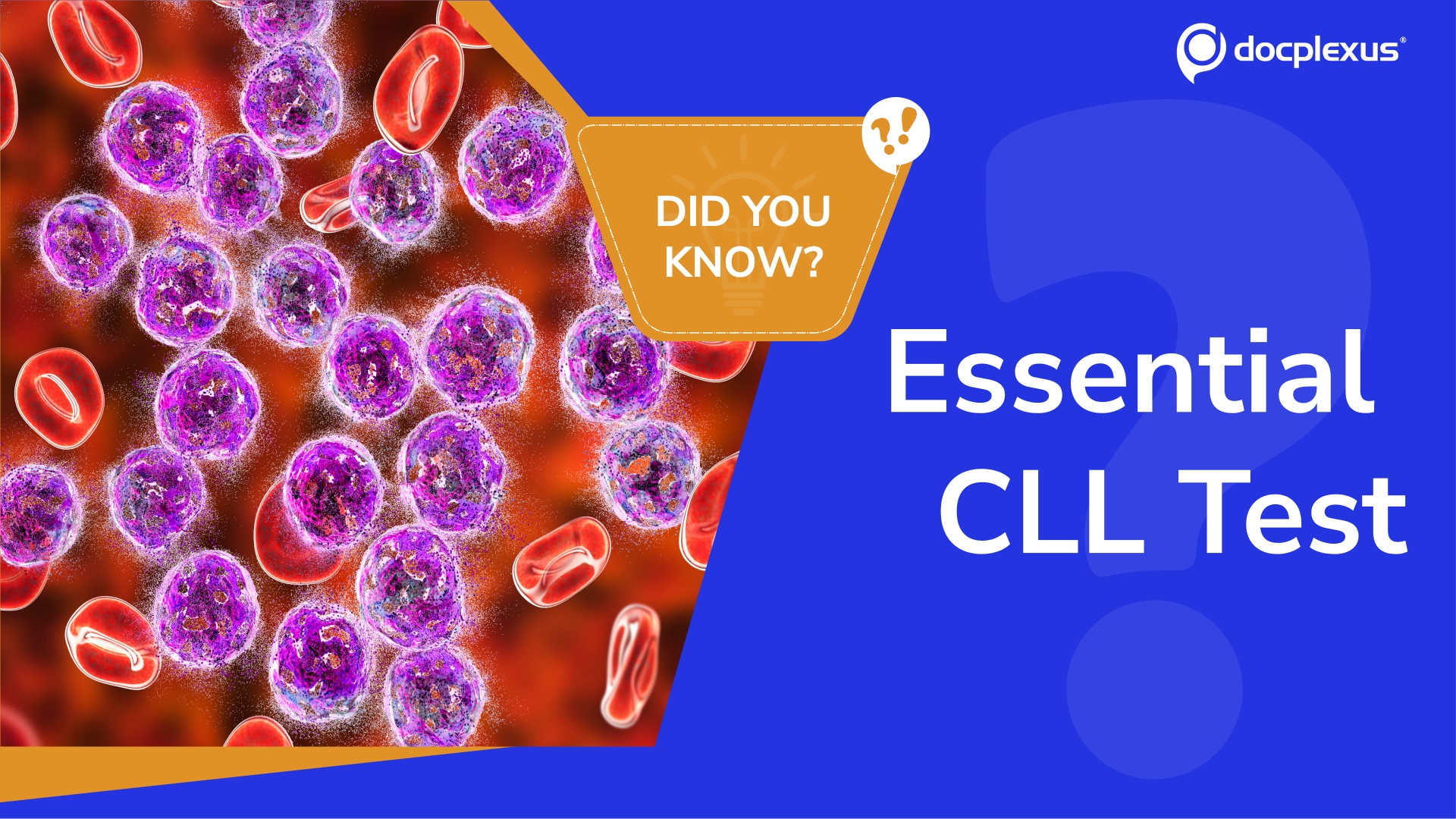Which Test Confirms Chronic Lymphocytic Leukemia?