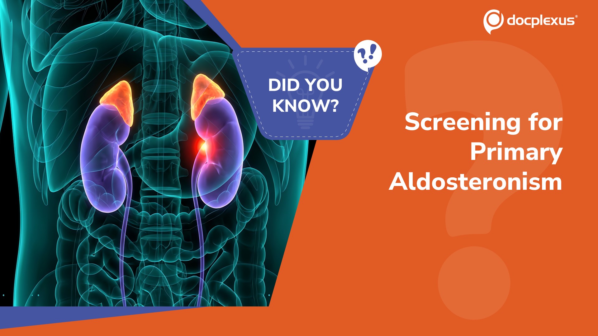 Which Finding Signals Primary Aldosteronism?