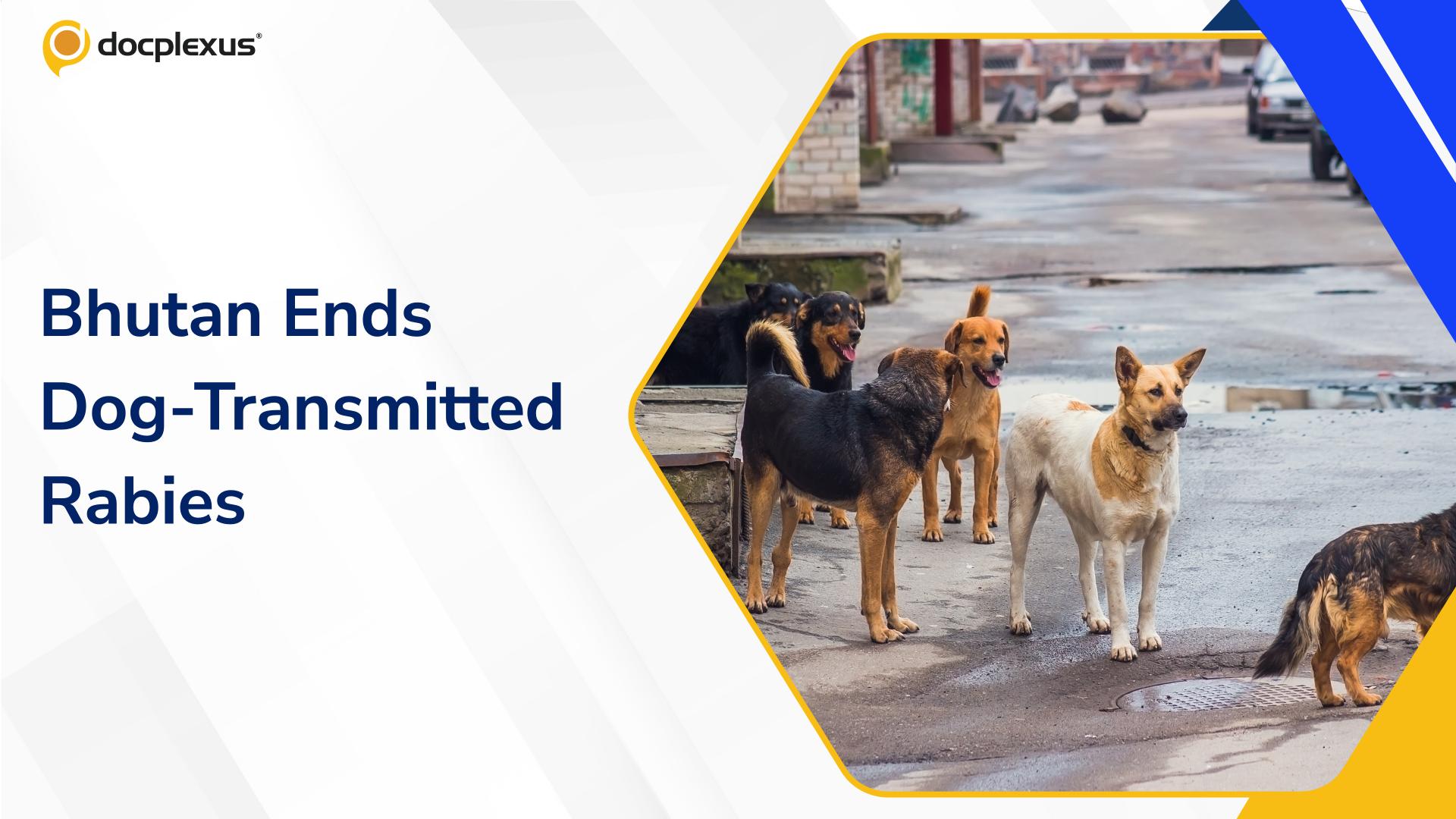 Bhutan Achieves WHO Validation for Eliminating Dog-Transmitted Rabies