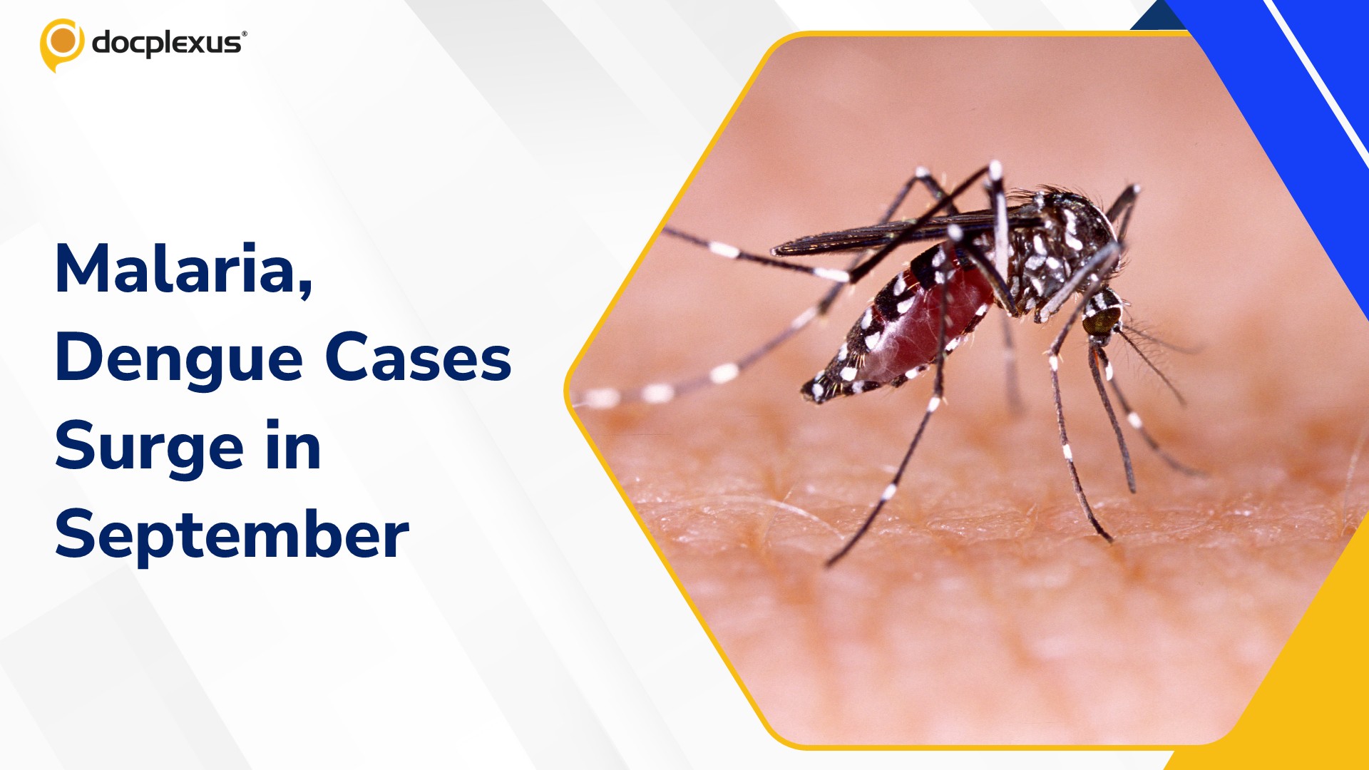 Mumbai Reports Sharp Rise in Mosquito-Borne Diseases During First Half of September