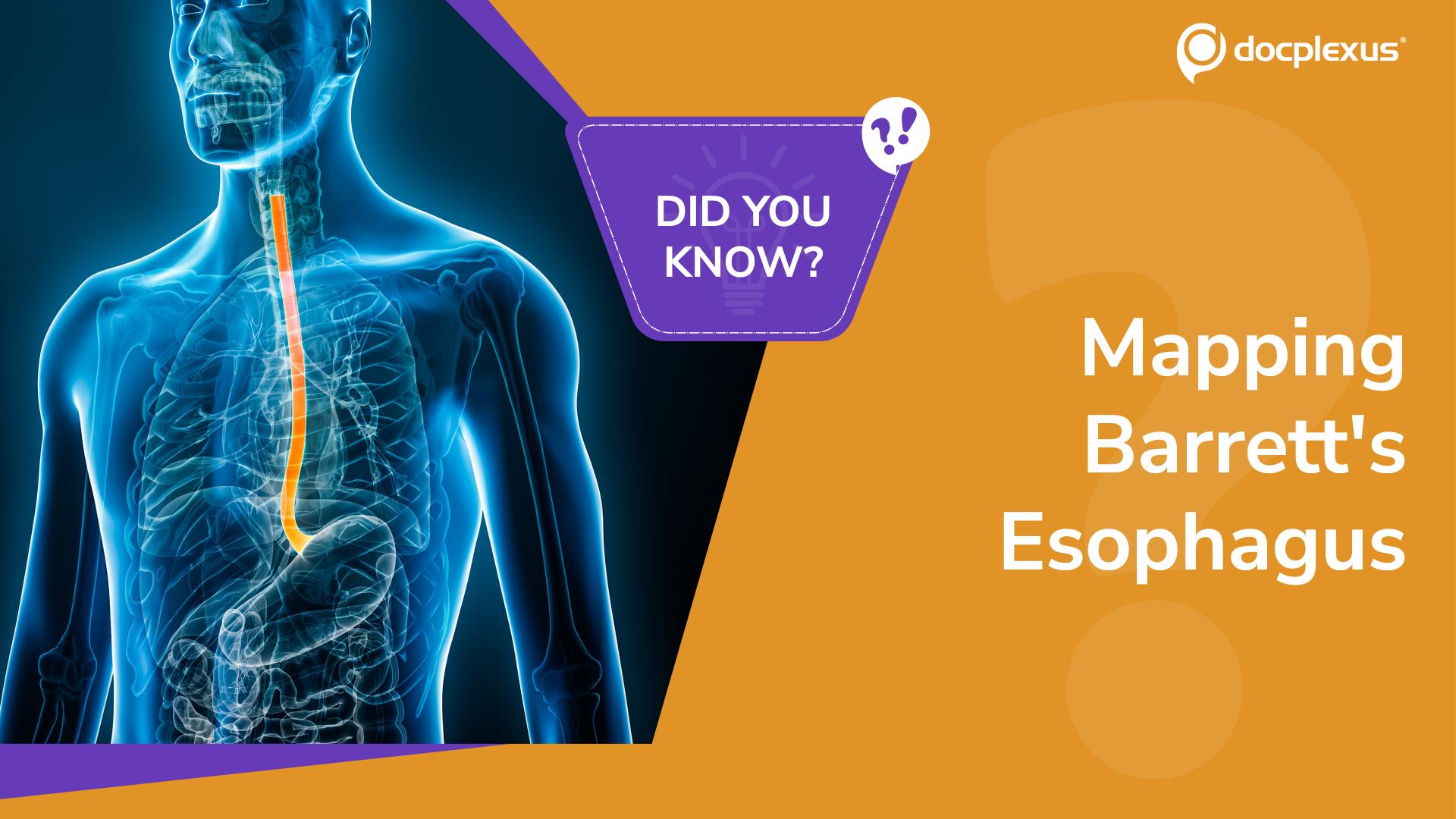 How is Barrett's Esophagus Extent Documented?