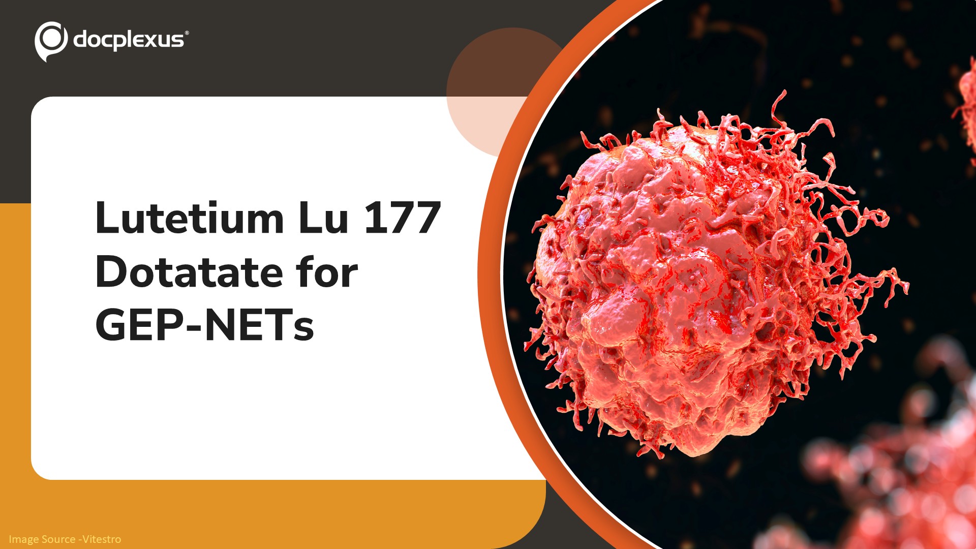 FDA Grants NDA Approval to Lutetium Lu 177 Dotatate for GEP-NETs