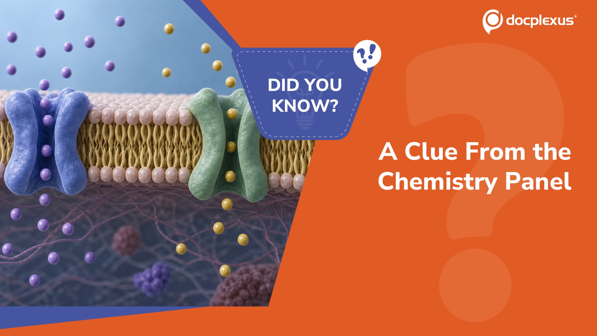 What Does a High Anion Gap Reveal?