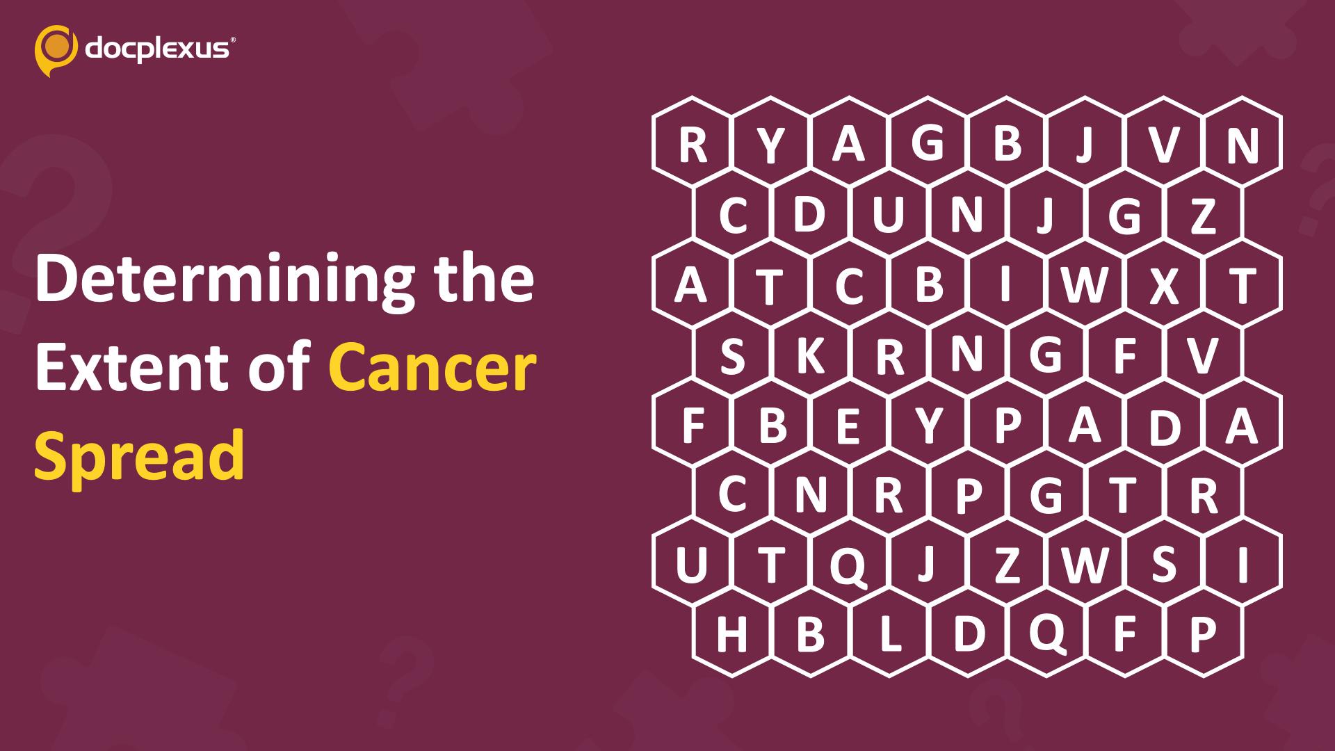 Identify the Process Used to Assess Cancer Spread