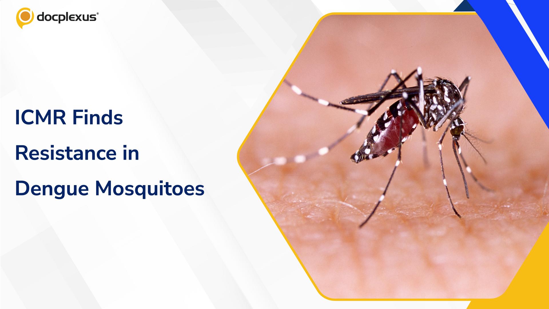 Dengue Mosquitoes Show Signs of Insecticide Resistance in Pune
