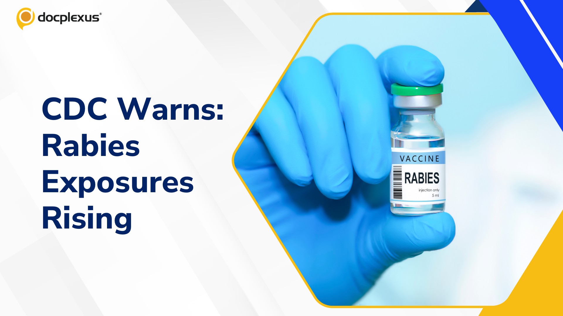 CDC Warns of Rising Human Rabies Exposures and Errors in Post-Exposure Care