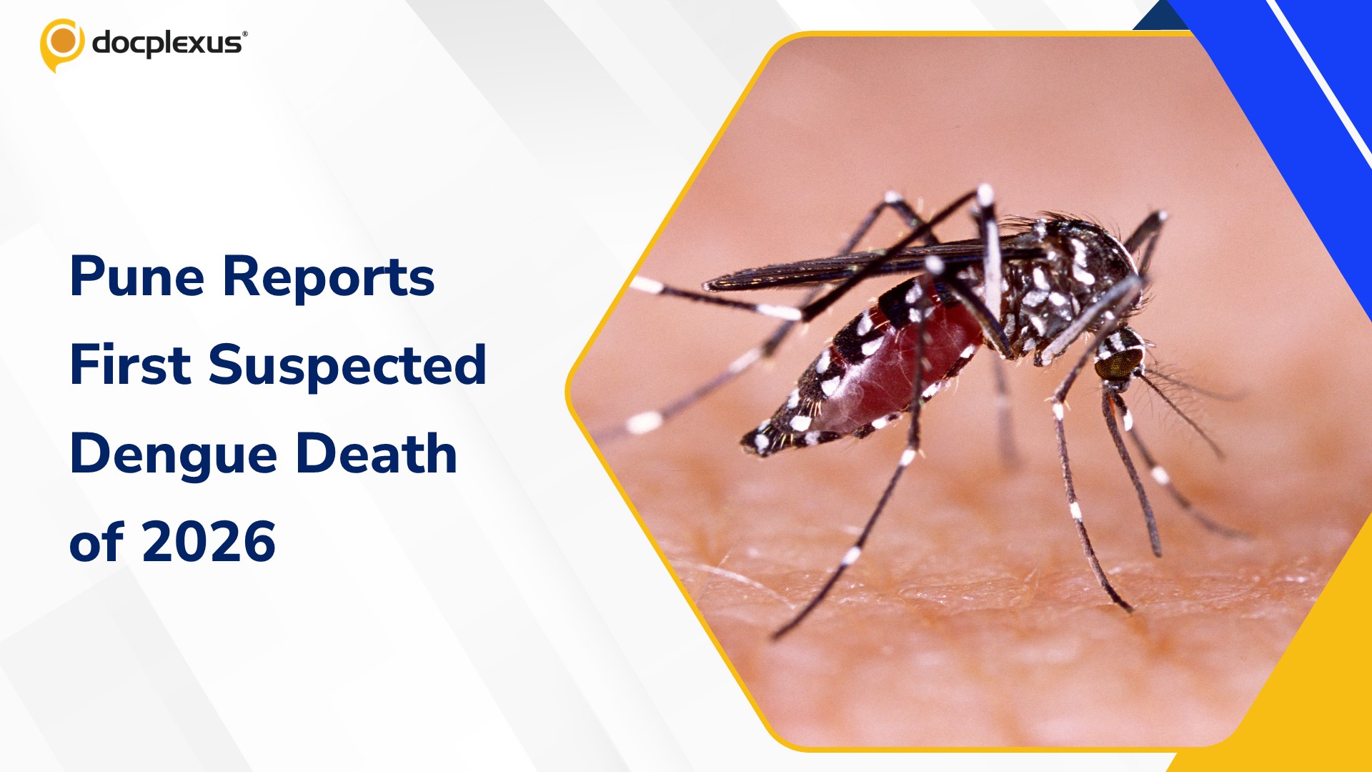 8-Year-Old Girl Dies After Suspected Severe Dengue in Pune as Cases Exceed 2,000