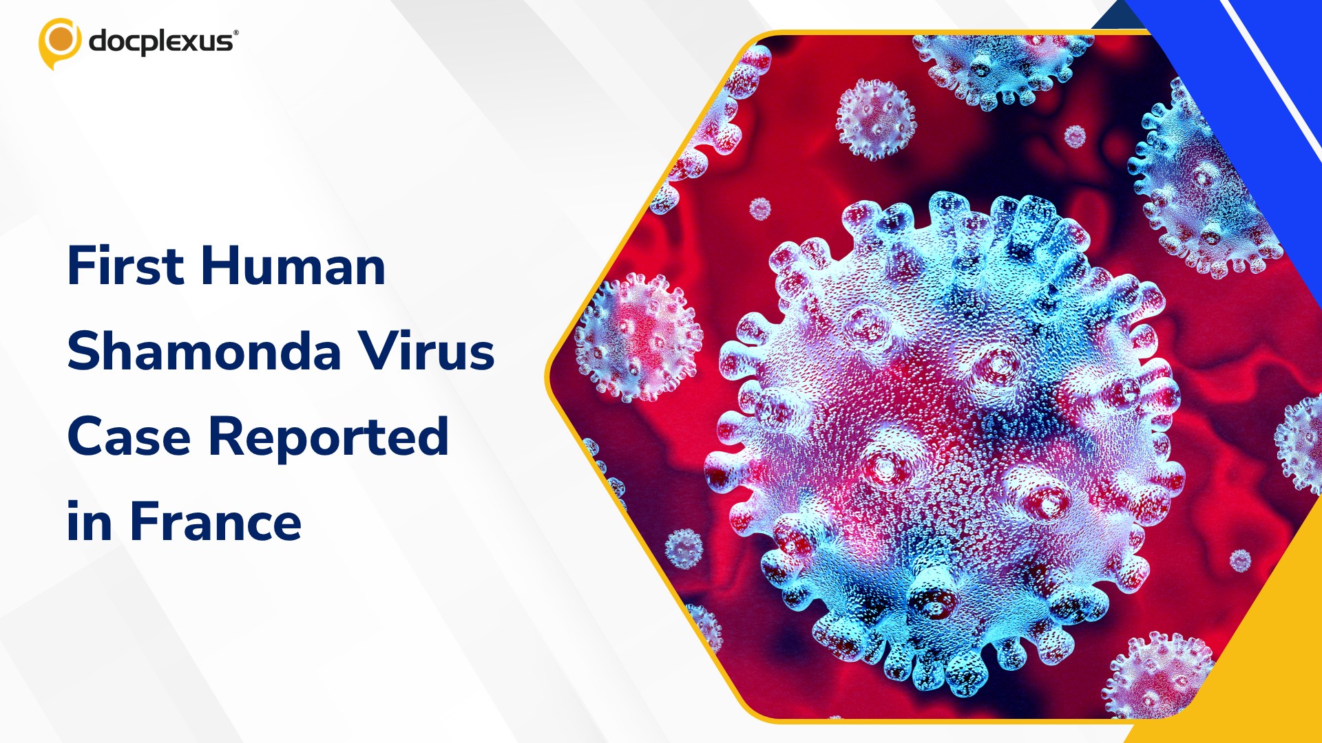 France Reports First Human Shamonda Virus Infection in Severely Immunocompromised Patient
